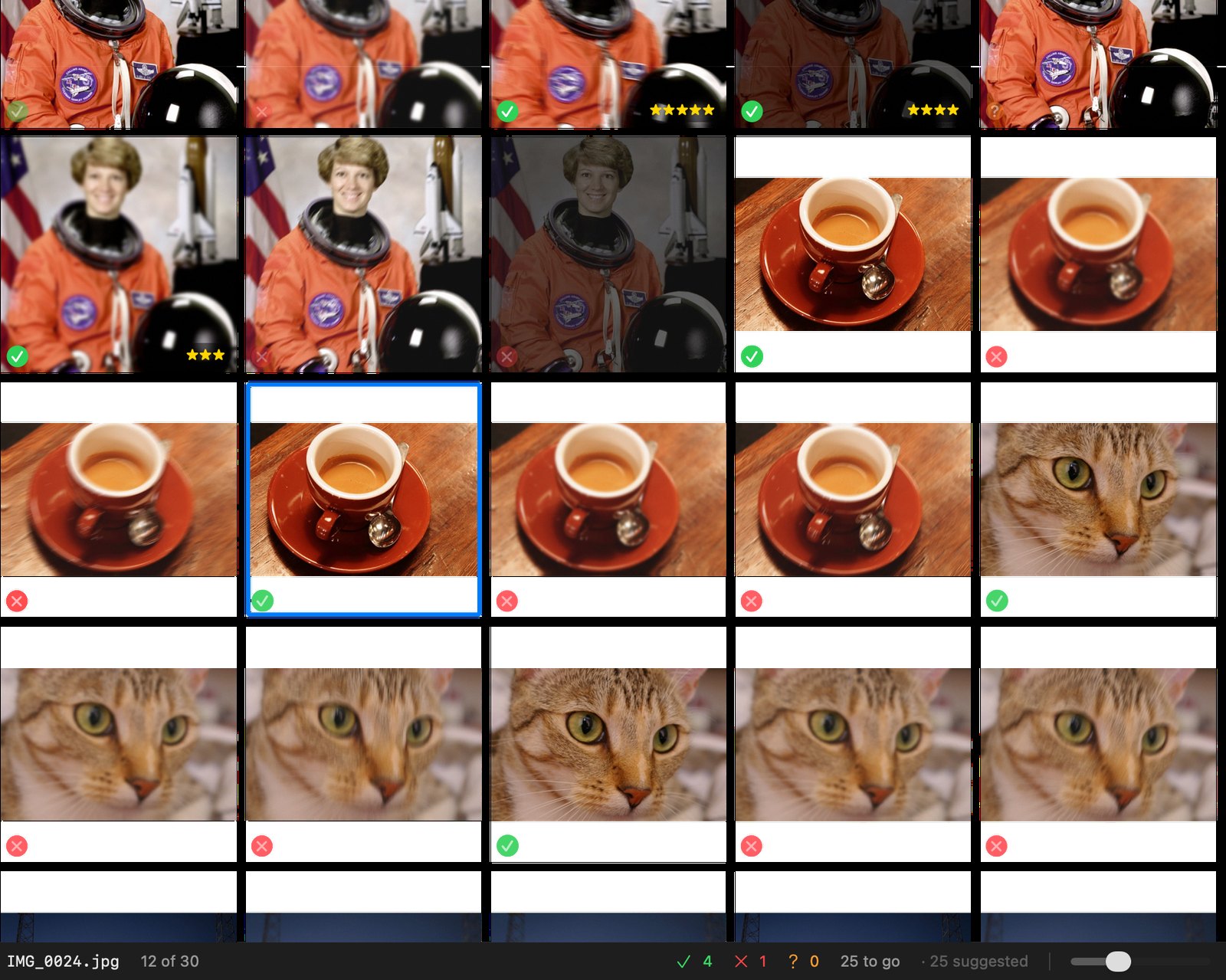 A grid of photographs in bursts — several near-identical frames of each subject, most of them marked rejected, one kept — with star ratings in the corners.